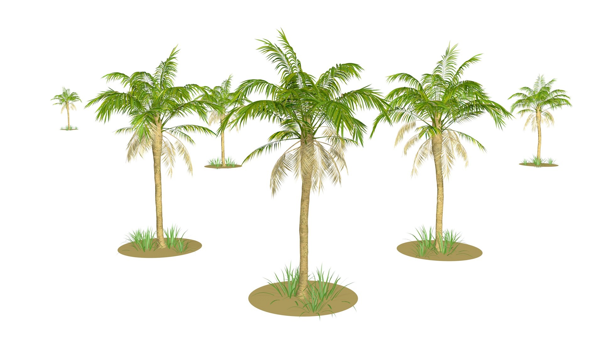 Palm tree model - TurboSquid 1691953