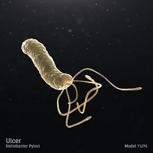 microbes bacteria cells 3D model