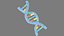 Structure de l'ADN v3