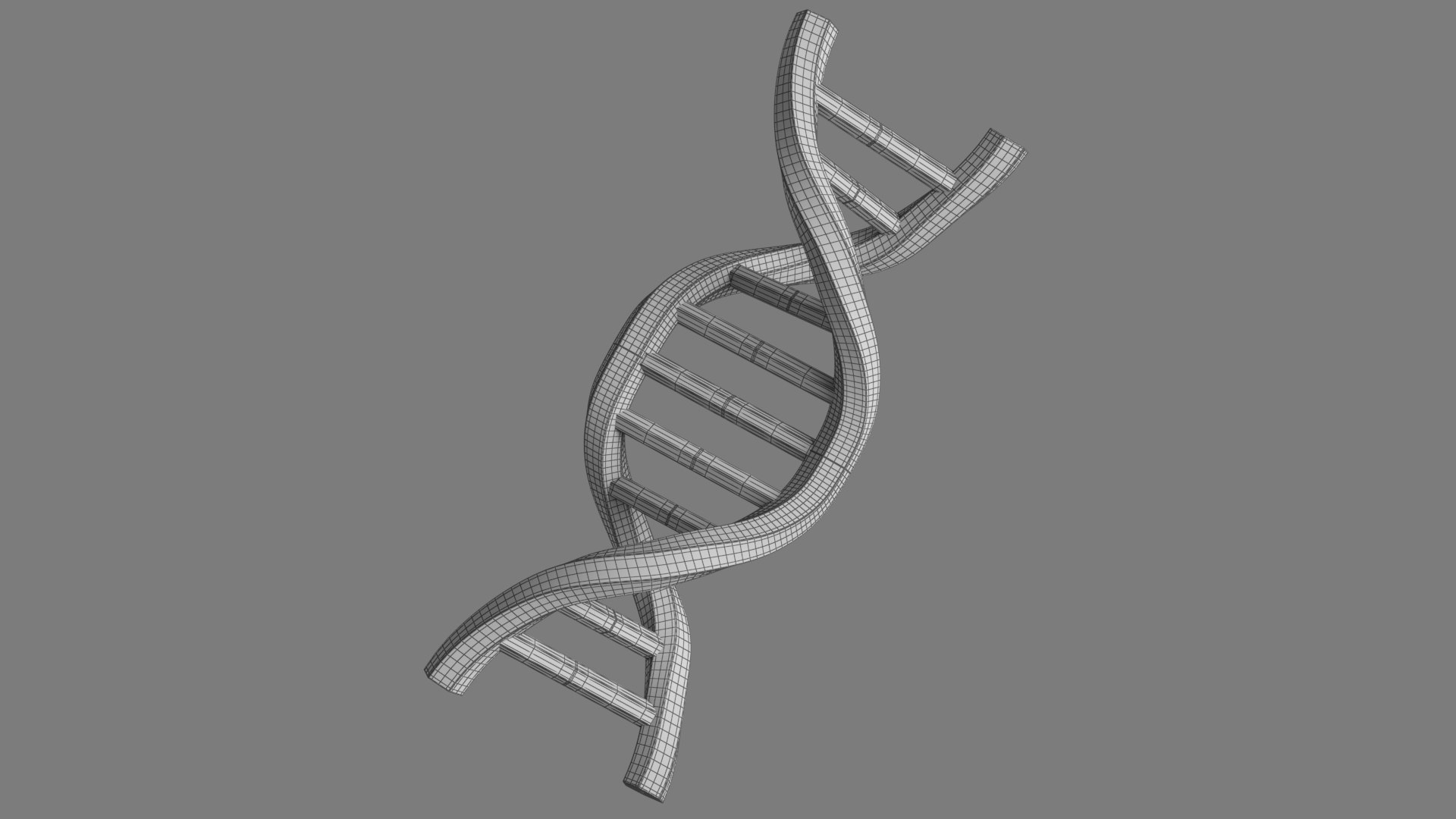 Structure of DNA v3 model https://p.turbosquid.com/ts-thumb/Km/Jn52Qp/Jk/sturctureofdnav3wire/jpg/1752277901/1920x1080/fit_q87/66f9d9052f05ca5422ab5b581e6a7700bbb98598/sturctureofdnav3wire.jpg