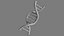 Structure de l'ADN v3