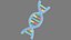 Structure de l'ADN v3