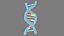 Structure de l'ADN v3