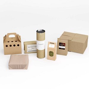 3D model Paper Food Box Packaging Mockup
