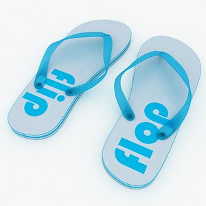 flip-flops footwear 3d model