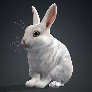 3D Rabbit-A2