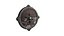 Viking shield