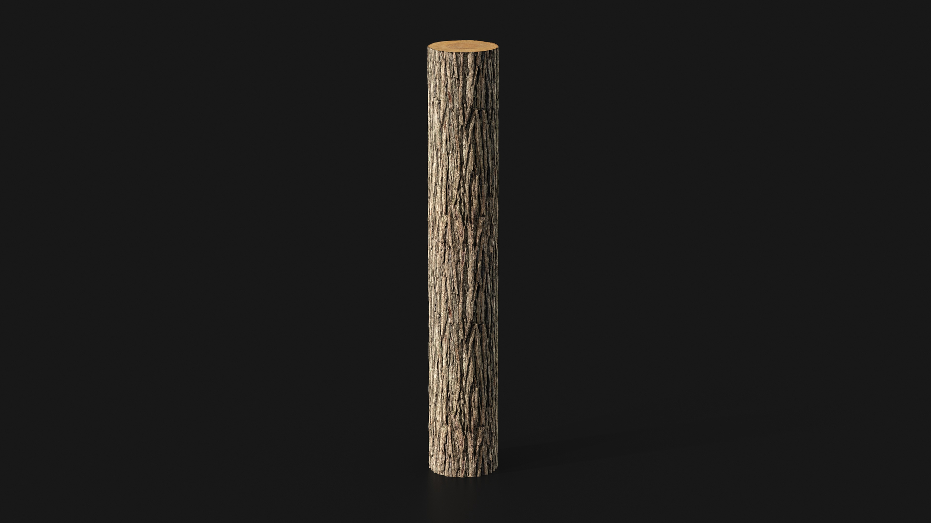 3D Black walnut PBR tiled texture 8K https://p.turbosquid.com/ts-thumb/Km/qvIc72/Ee/walnut2x_fullquality_001/jpg/1764577097/1920x1080/turn_fit_q99/04972b4a8acc00e18324ee86d0bb11fb17d5a37b/walnut2x_fullquality_001-1.jpg