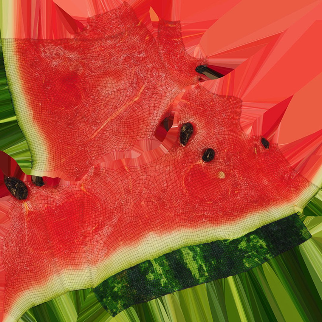 Watermelon Slice Collection model https://p.turbosquid.com/ts-thumb/Km/r3GxzQ/SD/watermelonslice1_d0004/jpg/1746726488/1920x1080/fit_q87/703b0b01df822d713e3e9e252e33f8b09803211b/watermelonslice1_d0004.jpg