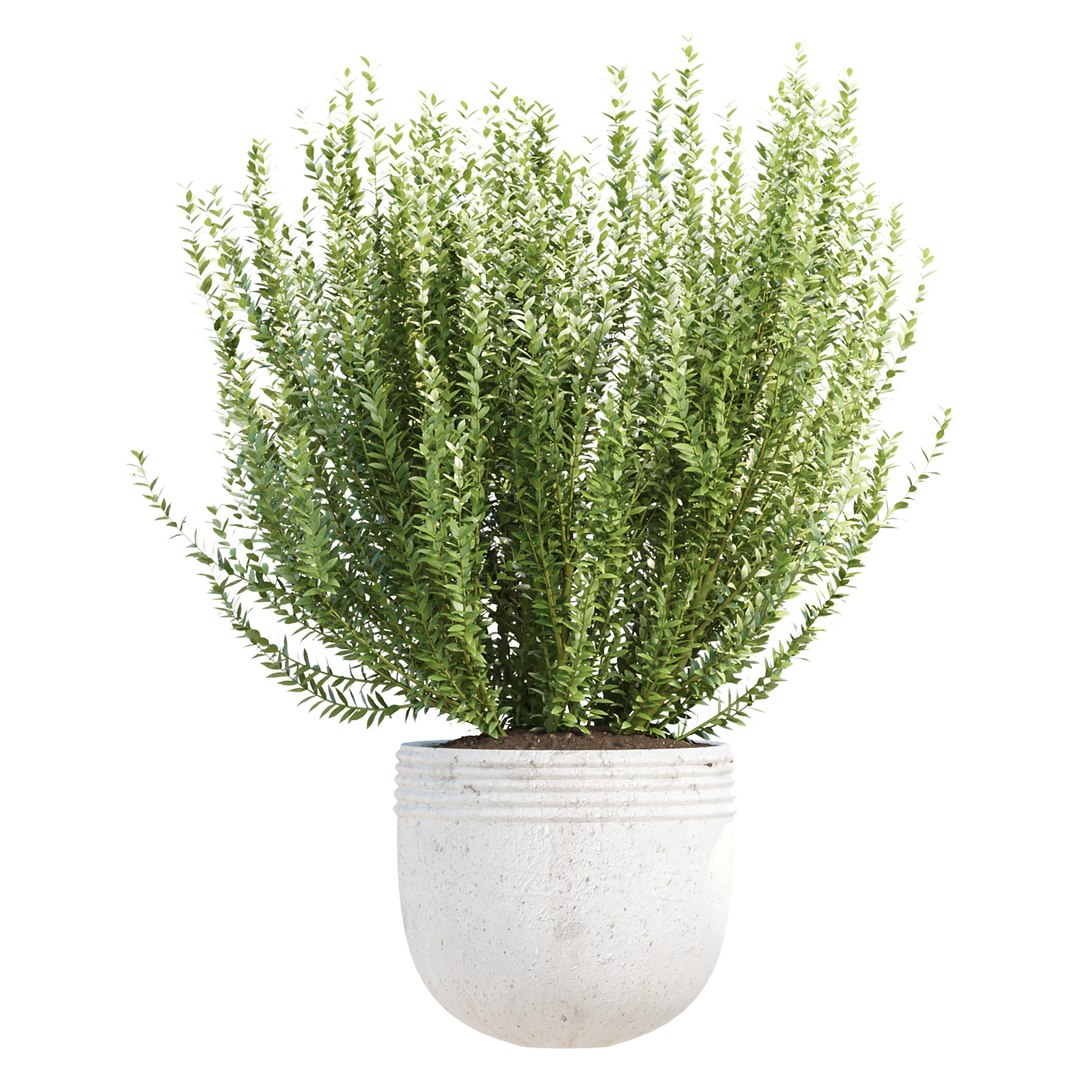 3D Premium Indoor &amp; Outdoor Plant Collection Bundle 100 https://p.turbosquid.com/ts-thumb/Km/yPtjOY/6F/2/jpg/1789431607/1920x1080/fit_q87/64c61bd687fbbe073d023e7f2f257b9350392c48/2.jpg