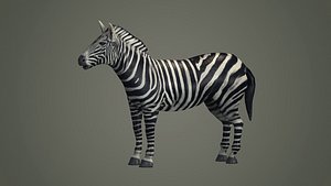 3D model animal zebra horse land
