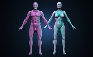 Male and Female Human Base Mesh