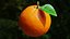 Procedural Orange Fruit with Leaf - Photoreal 3D Model
