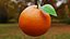 Procedural Orange Fruit with Leaf - Photoreal 3D Model