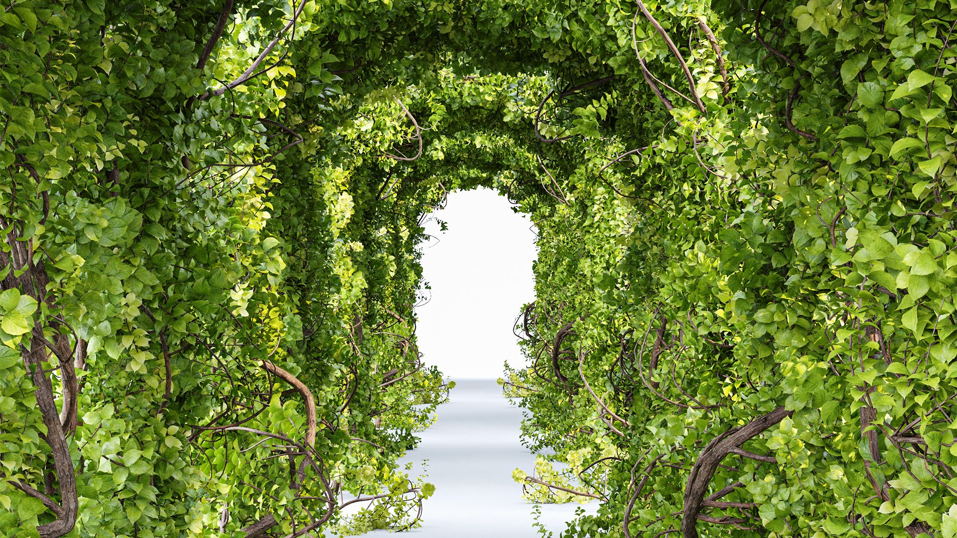 Magical Tree Tunnel Was Carved Out model https://p.turbosquid.com/ts-thumb/Kn/HLORMZ/52/z04/png/1719402729/1920x1080/fit_q87/94d3f4e5d356b5b4673a6bb57e08cce79f38c80b/z04.jpg