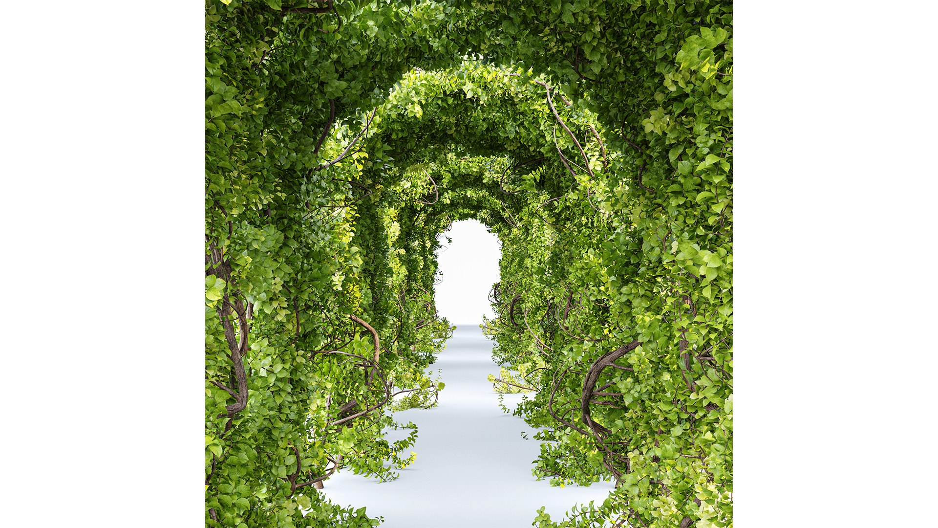 Magical Tree Tunnel Was Carved Out model https://p.turbosquid.com/ts-thumb/Kn/HLORMZ/Bv/z05/png/1719402728/1920x1080/fit_q87/8e0a2b197d9a19816dc447c777dc966ed3526bc0/z05.jpg