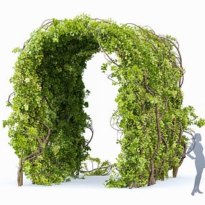 Magical Tree Tunnel Was Carved Out model