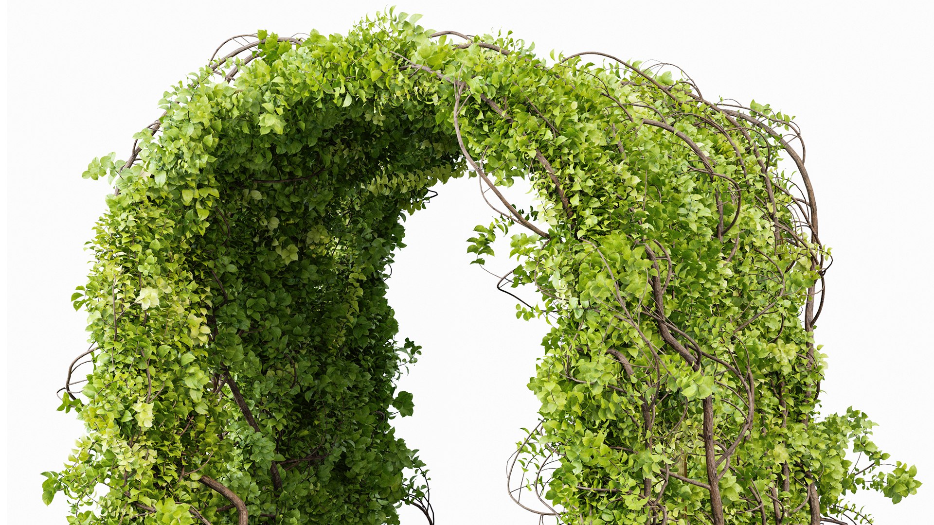 Magical Tree Tunnel Was Carved Out model https://p.turbosquid.com/ts-thumb/Kn/HLORMZ/jE/z02/png/1719402693/1920x1080/fit_q87/804b0328edc1de86cc50feac1597e59ffc4c6015/z02.jpg