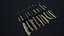 Ultimate Stick Branches Package 30 Variationen