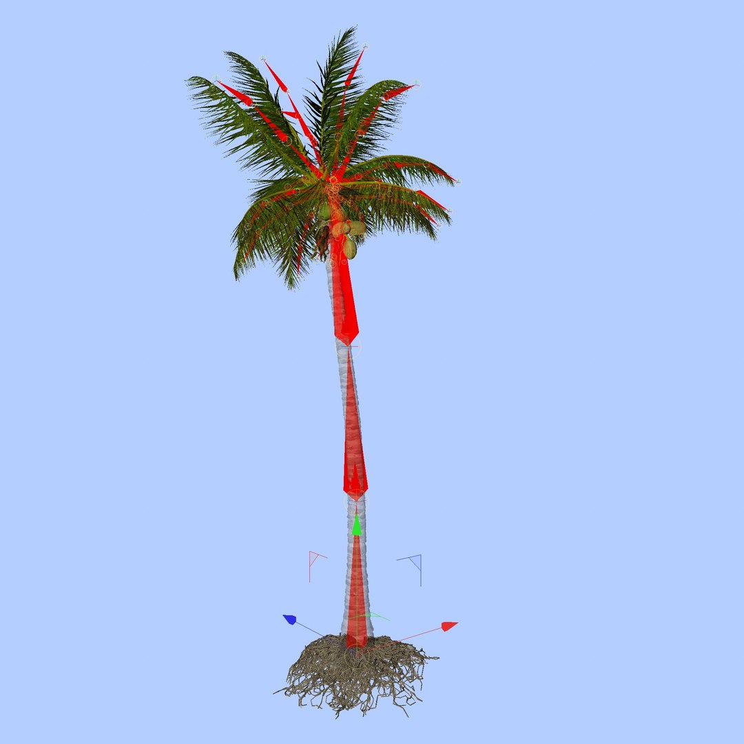 3D coconut palm model https://p.turbosquid.com/ts-thumb/Kn/Ka8Cs3/3Le6vh7O/13/jpg/1518392859/1920x1080/fit_q87/89287ea368ba0300b6a3aa954b455689fe58ef6c/13.jpg