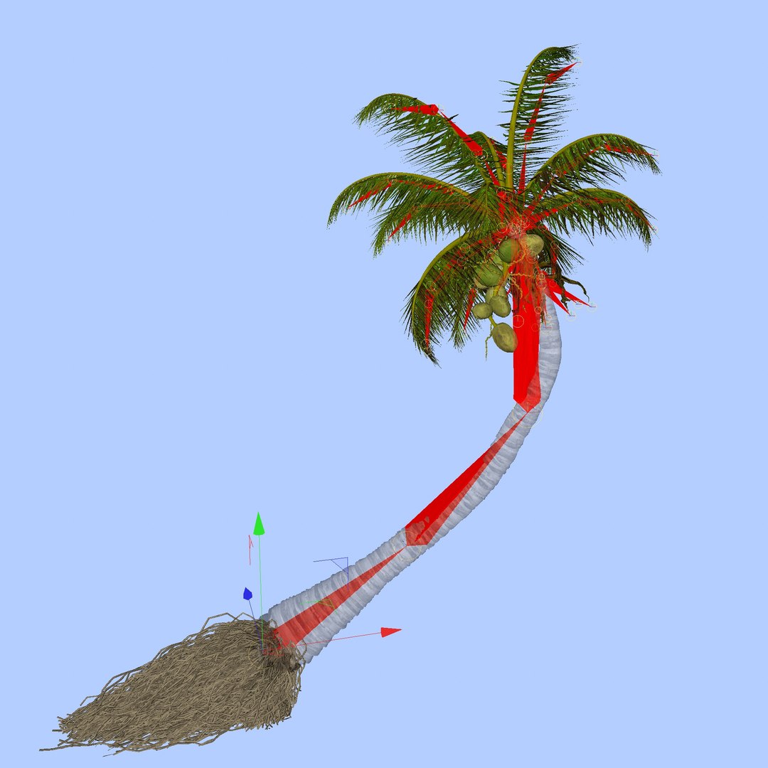 3D coconut palm model https://p.turbosquid.com/ts-thumb/Kn/Ka8Cs3/NE9qTGjk/14/jpg/1518392876/1920x1080/fit_q87/be9250654d070af7a6f86bc813a3433646faeb48/14.jpg
