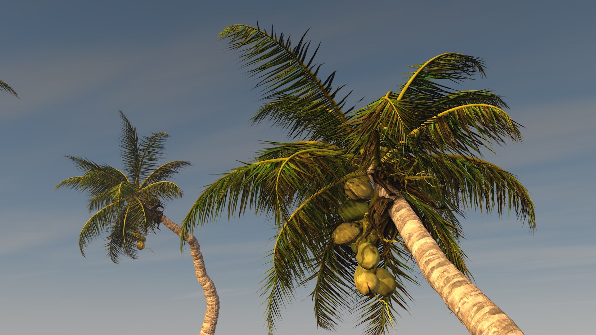 3D coconut palm model https://p.turbosquid.com/ts-thumb/Kn/Ka8Cs3/bHO2pR9g/2/jpg/1518392703/1920x1080/fit_q87/49f15a911fa9c04a3758b14254360406ea6e0e39/2.jpg