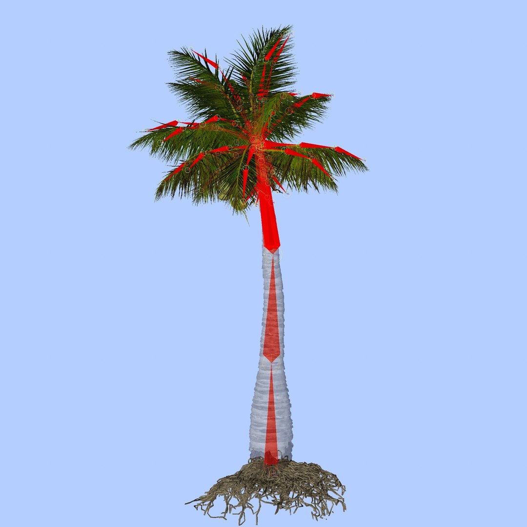 3D coconut palm model https://p.turbosquid.com/ts-thumb/Kn/Ka8Cs3/deFuE1bO/10/jpg/1518392821/1920x1080/fit_q87/1dcc7cdd9c386e79586bee36d107f7be5300ea85/10.jpg