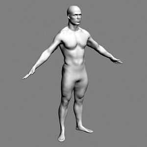 NURBS Model from Scan of Man