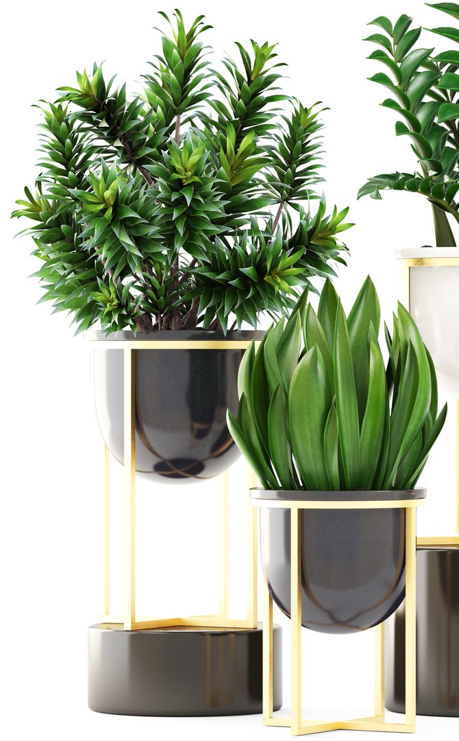 3D plants pots west - TurboSquid 1268697