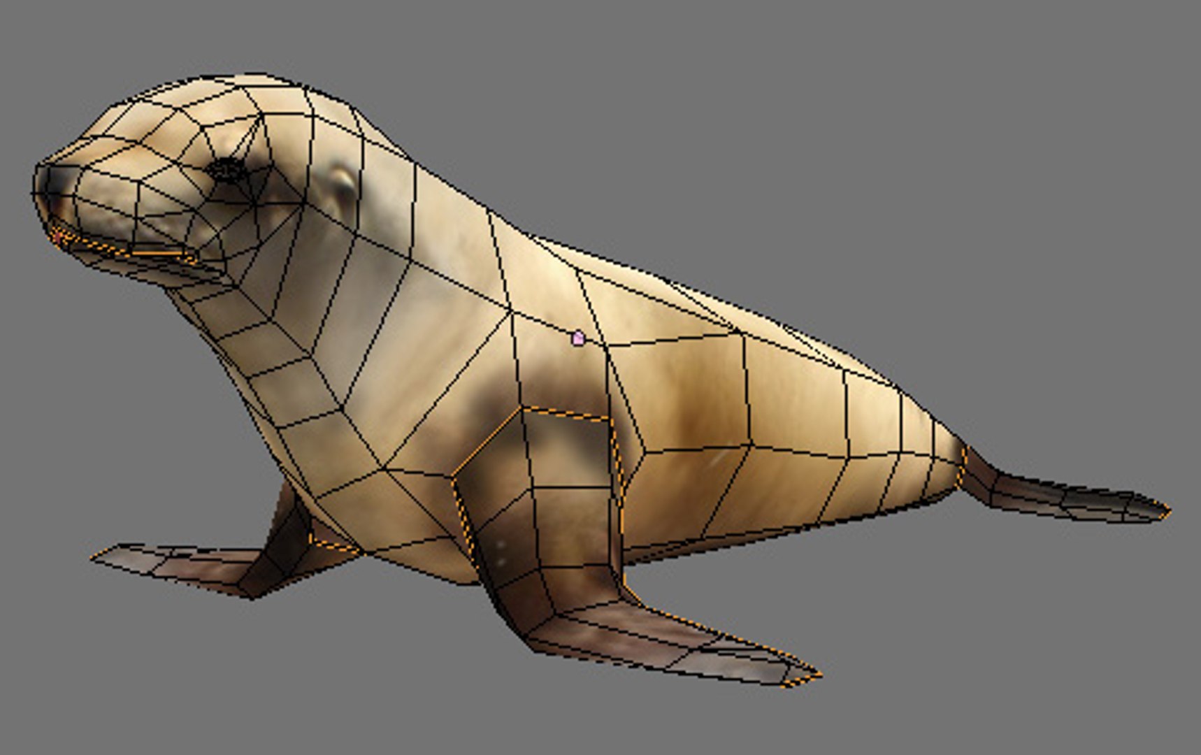 steller sea lion obj https://p.turbosquid.com/ts-thumb/Kn/nC19Ze/31aX2YGA/wire1/jpg/1280612594/1920x1080/fit_q87/6451752f1c06c786156ee11defb529e4f9510d3c/wire1.jpg