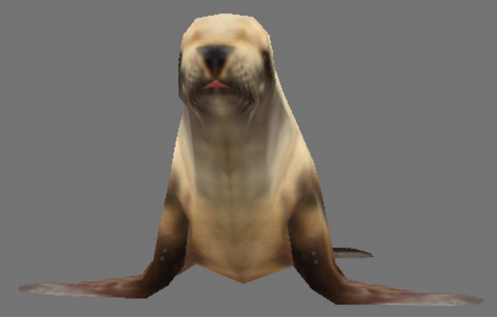 steller sea lion obj https://p.turbosquid.com/ts-thumb/Kn/nC19Ze/aKoGdHWM/img2/jpg/1280612594/1920x1080/fit_q87/25d0bd2e2300b79b87944f0e8a73358732ae6d6d/img2.jpg
