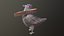 Bread Head Pigeon