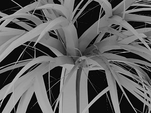 free obj model high-poly tree
