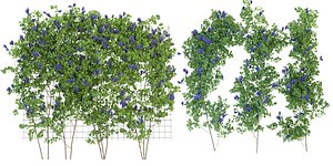 Collection plant vol 227 - blender model 3D model