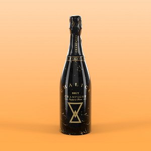 Chalice Champagne Bottle 3D model