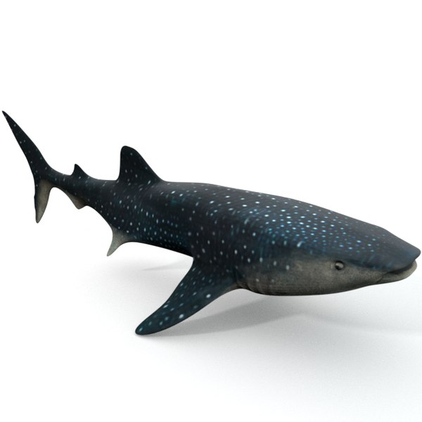 Momoco Studio gyaromi Jigoku Shark Momoko Studio Soft Vinyl