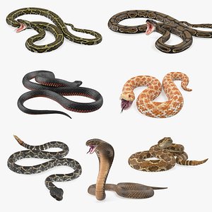 3D model rigged snakes 5