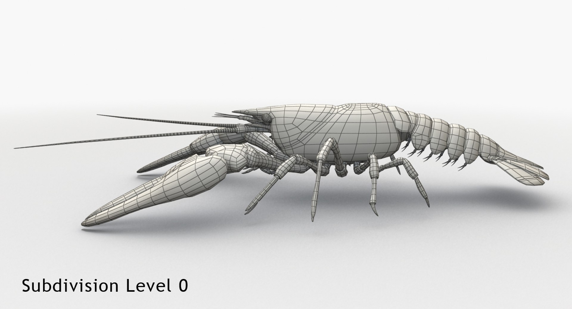 Crayfish 3d X