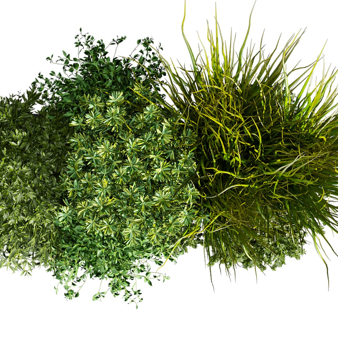 plant vol 1048 - Indoor - balcony - ampelous model https://p.turbosquid.com/ts-thumb/Ko/S2JDO4/X7/5/jpg/1791215863/1920x1080/fit_q87/edf7d5a60a8b48e867098deffb6fb008ad280b49/5.jpg