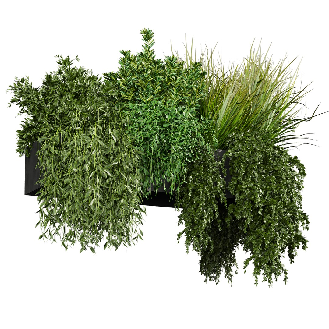 plant vol 1048 - Indoor - balcony - ampelous model https://p.turbosquid.com/ts-thumb/Ko/S2JDO4/Za/2/jpg/1791215862/1920x1080/fit_q87/44ae10770be065f082bb3d19d34adf4e054c77a4/2.jpg