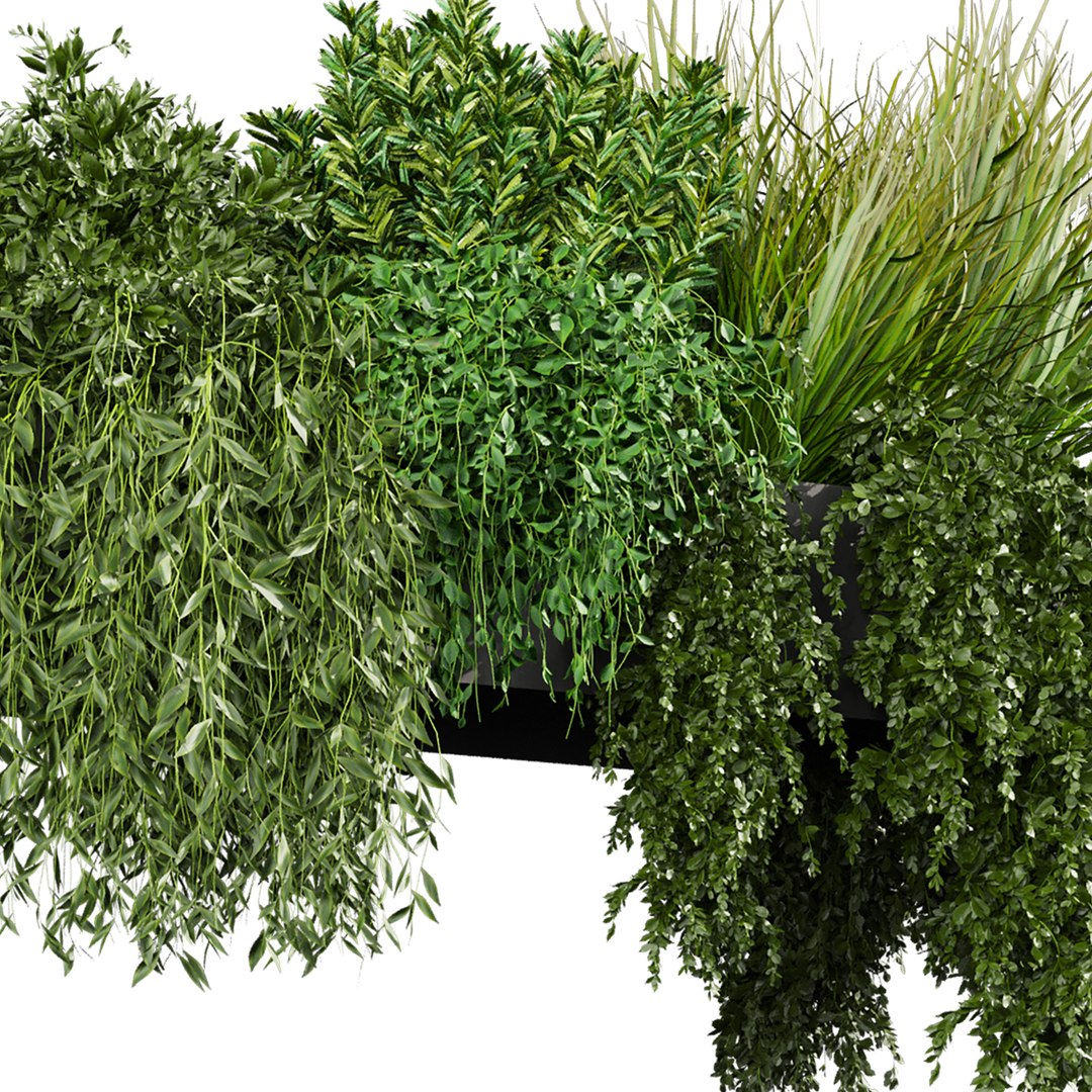 plant vol 1048 - Indoor - balcony - ampelous model https://p.turbosquid.com/ts-thumb/Ko/S2JDO4/jA/4/jpg/1791215862/1920x1080/fit_q87/12c6731d4345caaa58ae4ad96d3069a4b0f90a90/4.jpg