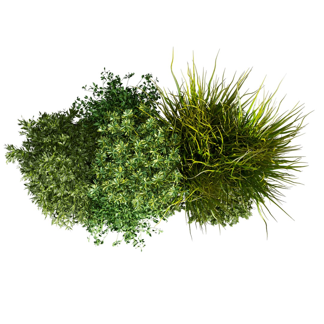 plant vol 1048 - Indoor - balcony - ampelous model https://p.turbosquid.com/ts-thumb/Ko/S2JDO4/qc/3/jpg/1791215862/1920x1080/fit_q87/8ff0a49ab82a519cf7638e8dd00407b0fb6bf8b0/3.jpg