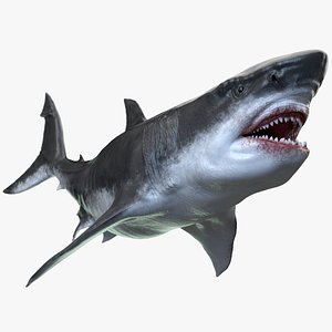 Dinosaur MEGALODON - Sea Monster Series 5