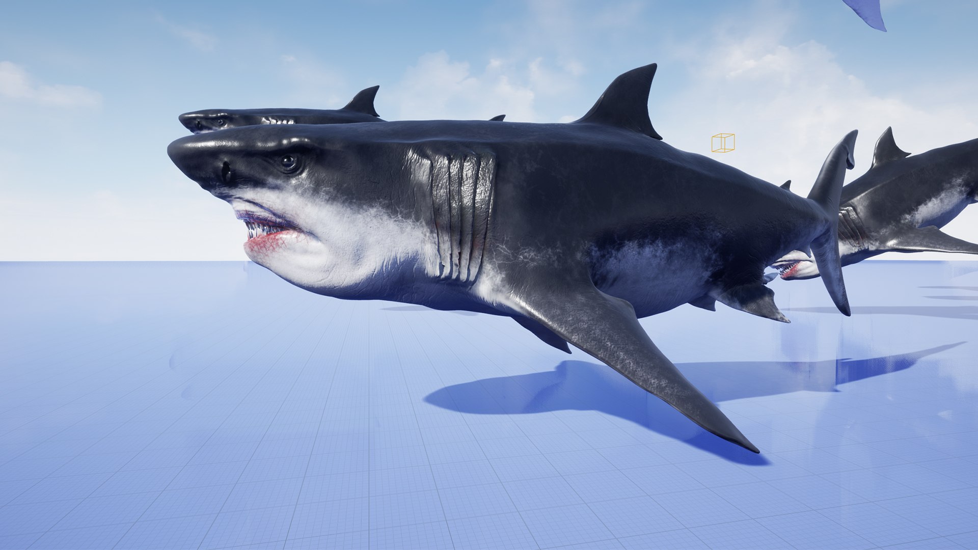 3D MEGALODON - Sea Monster Series 5 https://p.turbosquid.com/ts-thumb/Ko/WehRuQ/Cp/t11/jpg/1633453933/1920x1080/fit_q87/5237bb4f0bded2c78188cb2d83d3cd2466414959/t11.jpg