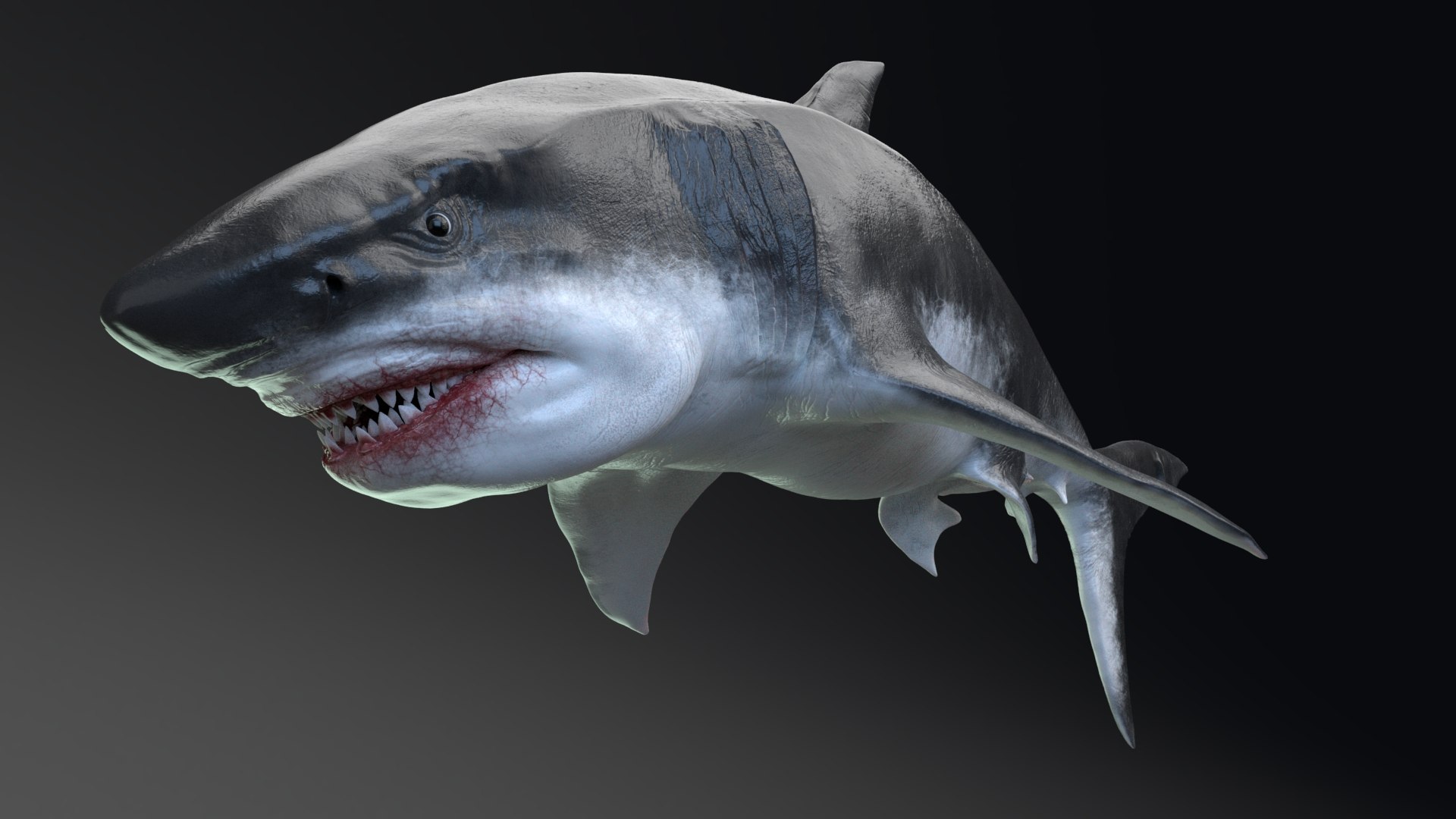 3D MEGALODON - Sea Monster Series 5 https://p.turbosquid.com/ts-thumb/Ko/WehRuQ/DX/t8/jpg/1633453924/1920x1080/fit_q87/2068790b1b0f33398522537477365995f7e8215a/t8.jpg