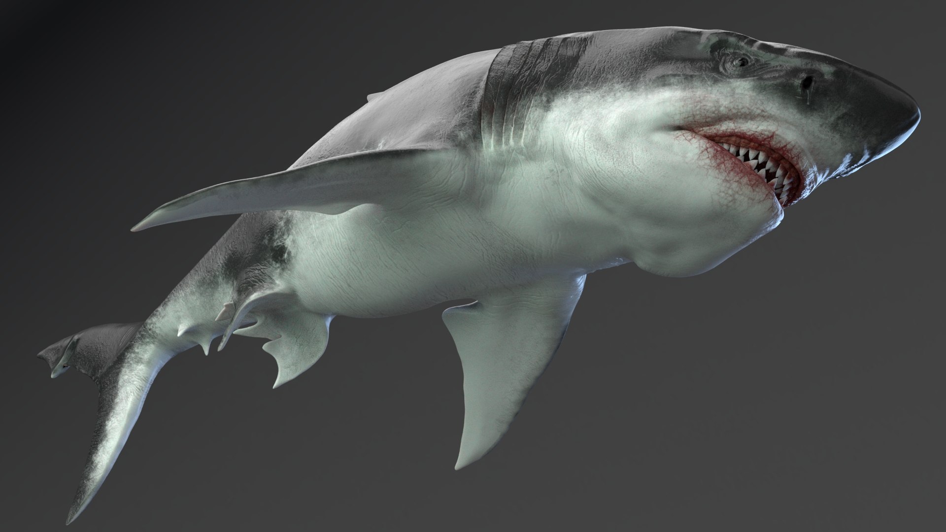 3D MEGALODON - Sea Monster Series 5 https://p.turbosquid.com/ts-thumb/Ko/WehRuQ/O8/t9/jpg/1633453929/1920x1080/fit_q87/beb61dbcb881792d3c47d297f186941a028d627c/t9.jpg