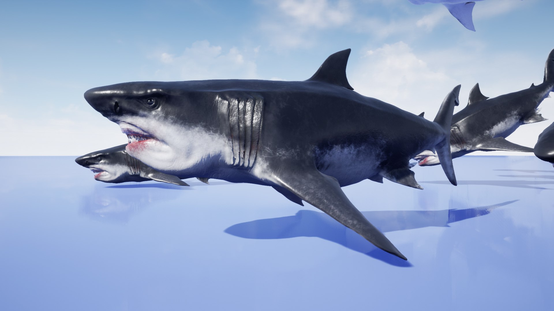 3D MEGALODON - Sea Monster Series 5 https://p.turbosquid.com/ts-thumb/Ko/WehRuQ/U3/t12/jpg/1633453921/1920x1080/fit_q87/180eb9f7cbaa966b11b37fb575ab8e2d071b309d/t12.jpg