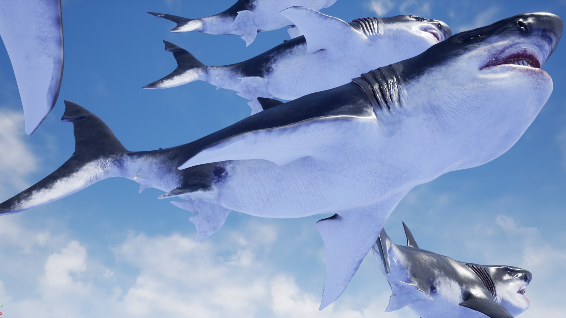 3D MEGALODON - Sea Monster Series 5 https://p.turbosquid.com/ts-thumb/Ko/WehRuQ/fn/t16/jpg/1633453931/1920x1080/fit_q87/2e249c6abbdb8272d6753316cf01382fabb9c117/t16.jpg