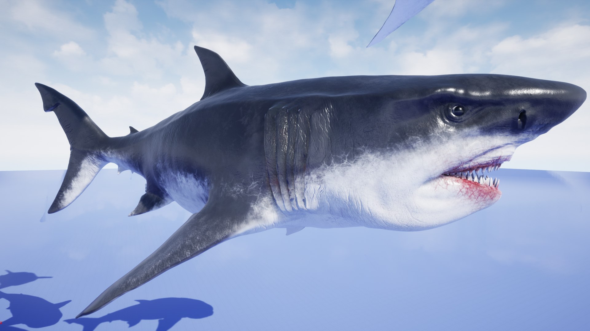 3D MEGALODON - Sea Monster Series 5 https://p.turbosquid.com/ts-thumb/Ko/WehRuQ/q6/t14/jpg/1633453930/1920x1080/fit_q87/3e1074a7e1fdd64bb1b0a9df56b90528cc5b9b89/t14.jpg