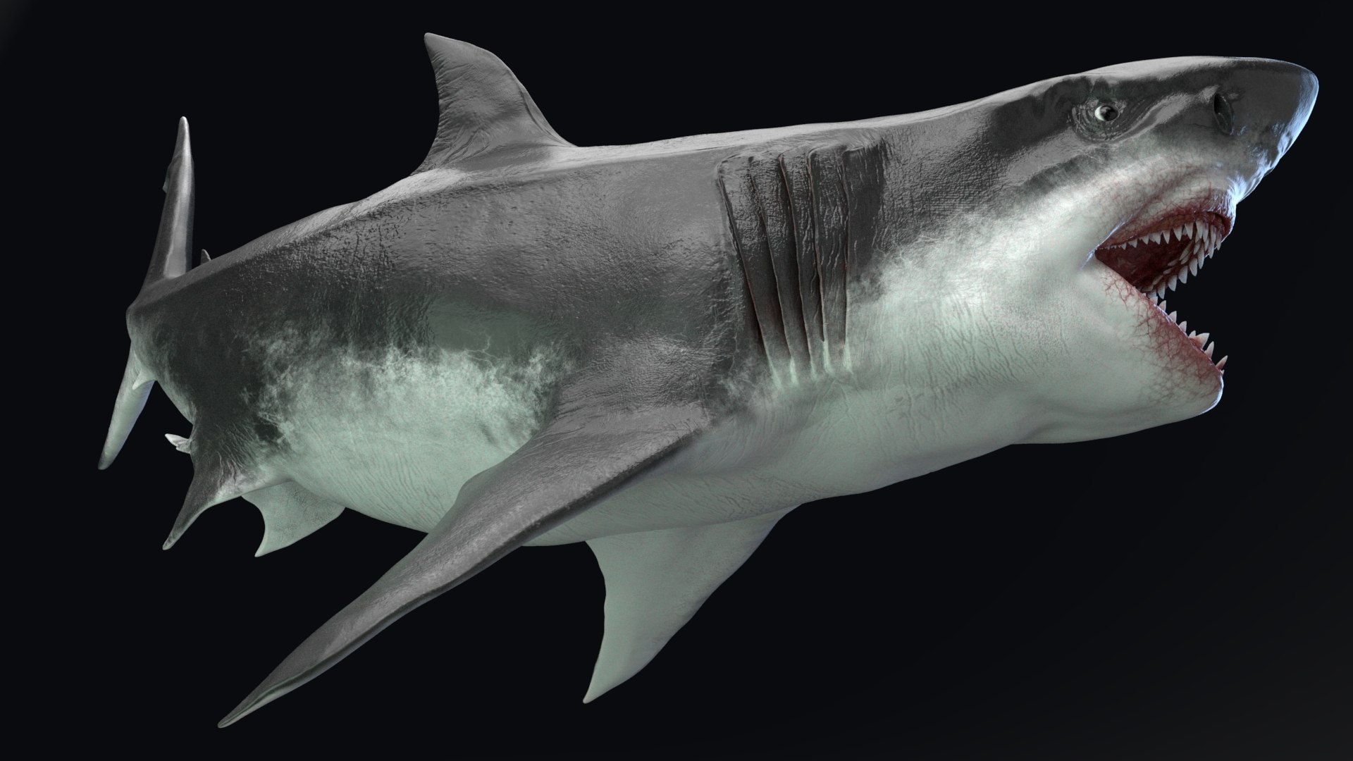 3D MEGALODON - Sea Monster Series 5 https://p.turbosquid.com/ts-thumb/Ko/WehRuQ/xG/t4/jpg/1633453929/1920x1080/fit_q87/428c236ada116faf9abeb77fca46461ab1341003/t4.jpg